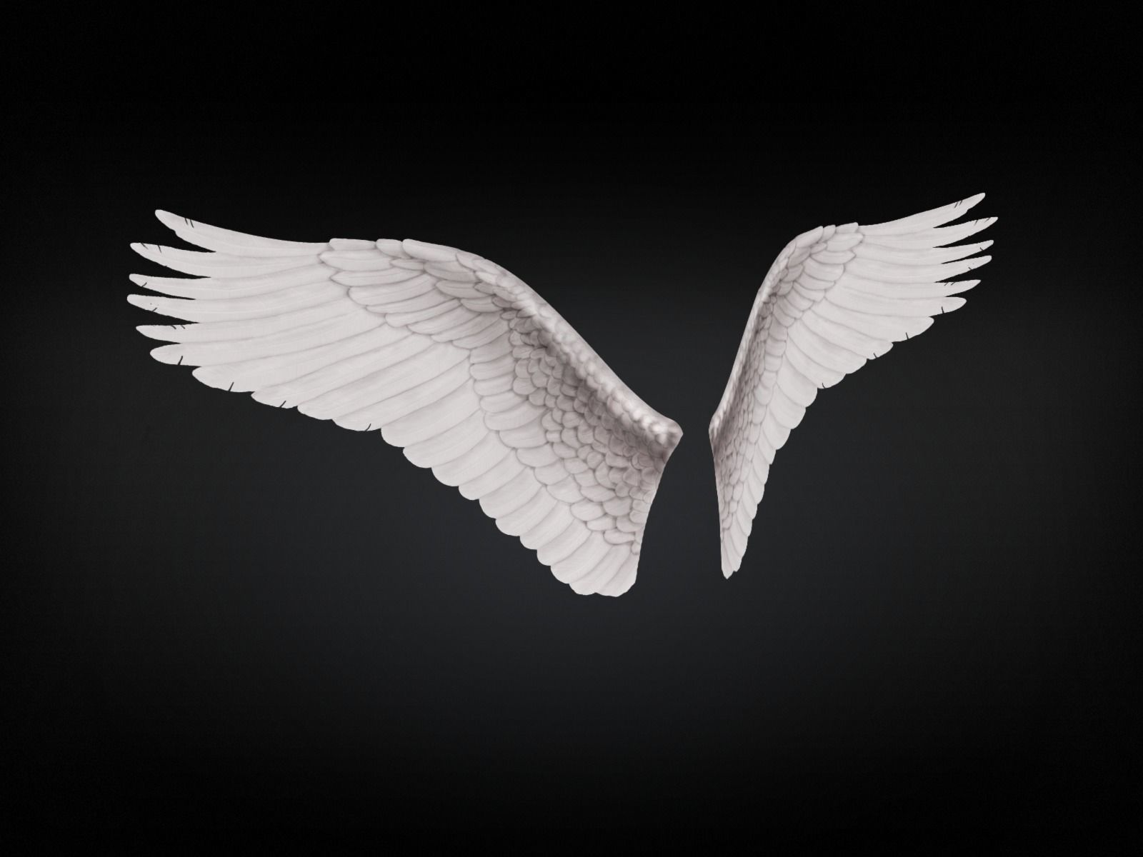 Angel Wings 3d Model Free Download Godpin